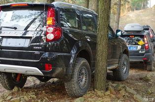 国产车自驾游越野视频,国产越野车自驾之旅精彩瞬间